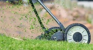 Quanto custa cortar a grama do meu jardim? Quanto custa cortar a grama do meu jardim?