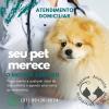 Home Vets  Veterinário Em Casa