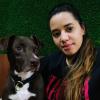 Pet Sitter Dog Walker E Taxi Pet Em Limeira E Piracicaba