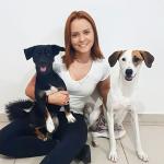 Giovana Chagas Adestramento Canino