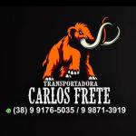 Carlos Frete E Carretos