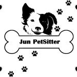 Jun Petsitter