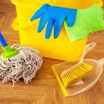 Carina Luiz De Souza Queiroz Carina Luiz De Souza Queiroz