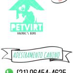 Petvirt